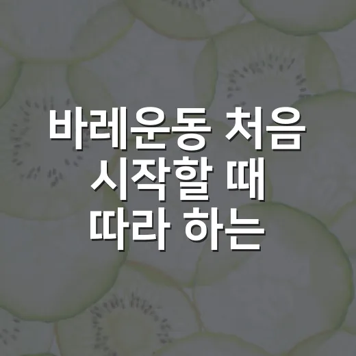 바레운동 처음 시작할 때 따라 하는 방법 - 요약
