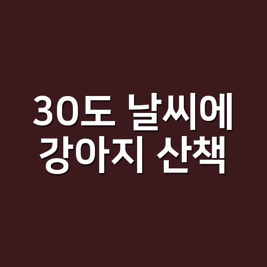 30도 날씨에 강아지 산책, 이렇게 준비하세요! - 요약