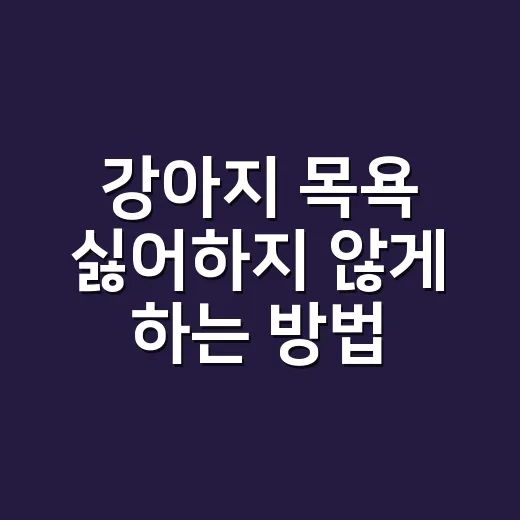 강아지 목욕 싫어하지 않게 하는 방법, 집에서 실패 줄이는 순서 - 요약