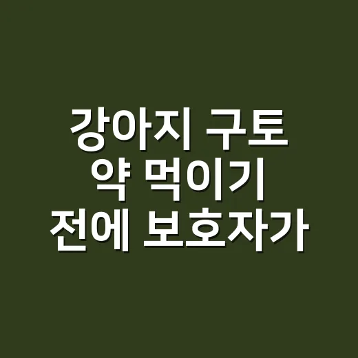 강아지 구토 약 먹이기 전에 보호자가 먼저 확인하는 방법 - 요약