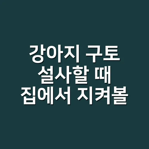 강아지 구토 설사할 때 집에서 지켜볼지 병원 갈지 판단하는 방법 - 요약