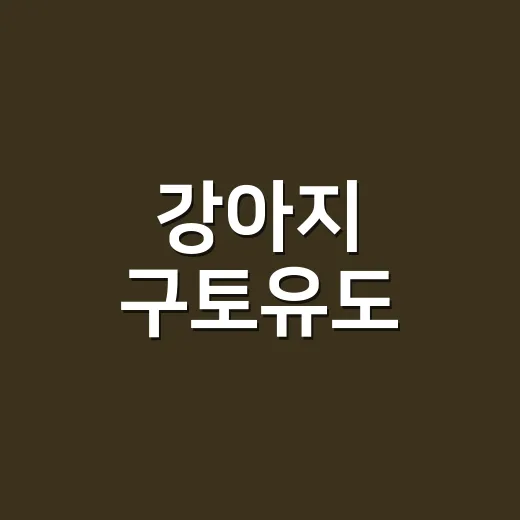 강아지 구토유도, 집에서 해야 할 때와 절대 하면 안 되는 경우 - 요약