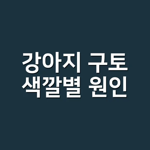 강아지 구토 색깔별 원인, 집에서 판단하려면 이렇게 보세요 - 요약