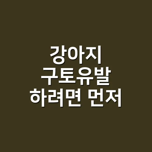 강아지 구토유발 하려면 먼저 확인해야 할 것들 - 요약