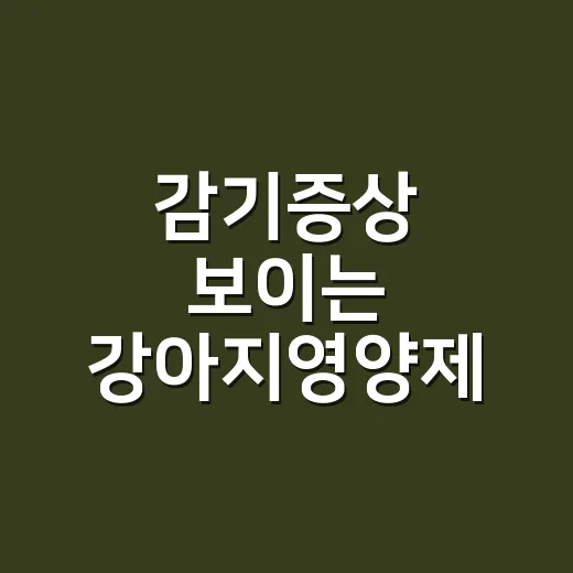 감기증상 보이는 강아지영양제 고르는 방법, 기침보다 먼저 볼 것들 - 요약