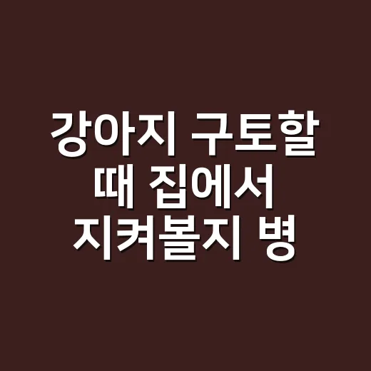 강아지 구토할 때 집에서 지켜볼지 병원 갈지 판단하는 방법 - 요약