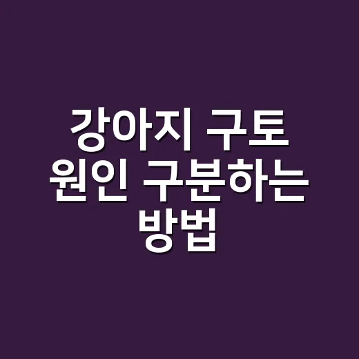 강아지 구토 원인 구분하는 방법, 집에서 지켜볼 때와 병원 갈 때 - 요약