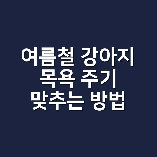 여름철 강아지 목욕 주기 맞추는 방법, 냄새보다 피부를 먼저 보세요 - 요약