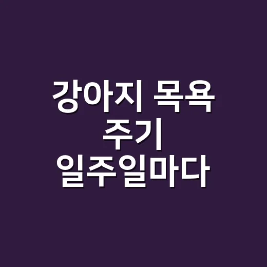 강아지 목욕 주기 일주일마다 해도 될까? 피부 상하지 않게 씻기는 방법 - 요약