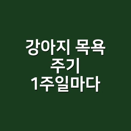 강아지 목욕 주기 1주일마다 해도 될까? 피부 망치지 않게 씻기는 방법 - 요약