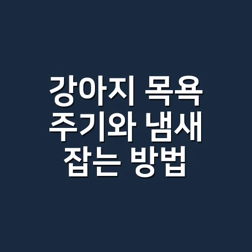 강아지 목욕 주기와 냄새 잡는 방법, 자주 씻겨도 냄새나는 이유 - 요약