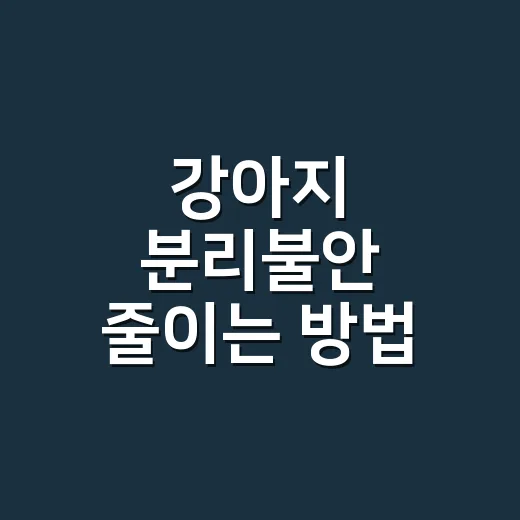 강아지 분리불안 줄이는 방법, 집 나가기 전부터 바꿔야 합니다 - 요약