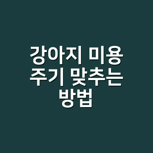 강아지 미용 주기 맞추는 방법, 털 길이보다 피부와 생활패턴을 먼저 보세요 - 요약
