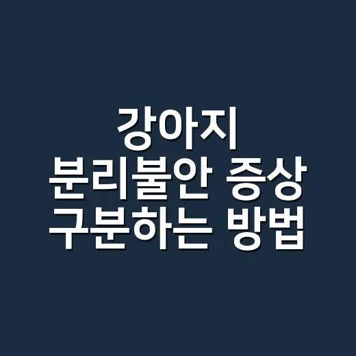 강아지 분리불안 증상 구분하는 방법, 혼자 못 있는 아이에게 먼저 볼 것들 - 요약