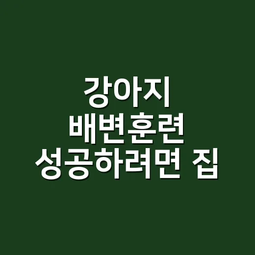 강아지 배변훈련 성공하려면 집 안 동선부터 이렇게 잡으세요 - 요약