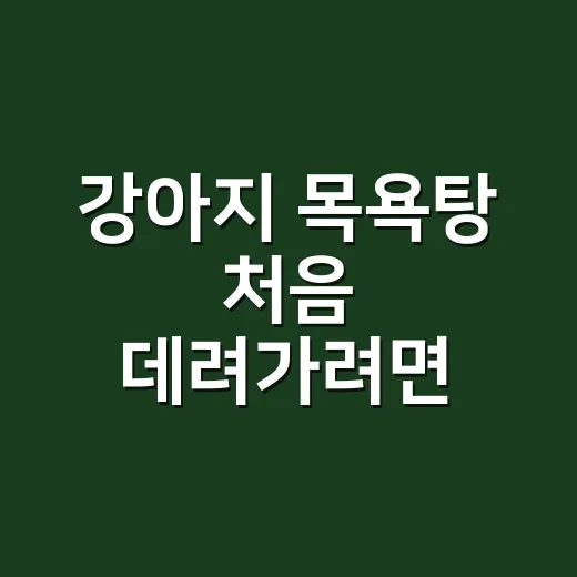 강아지 목욕탕 처음 데려가려면 이렇게 준비하세요 - 요약