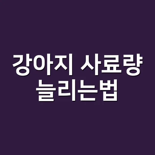 강아지 사료량 늘리는법, 살 안 빠지고 배탈 안 나게 조절하는 방법 - 요약
