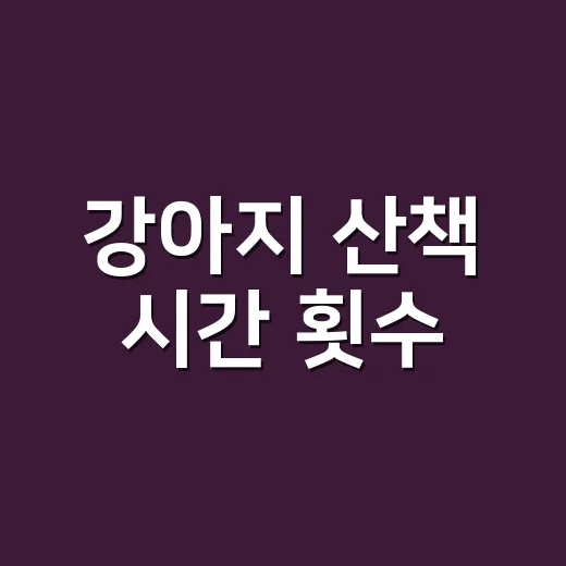 강아지 산책 시간 횟수, 나이와 성격에 맞게 잡는 방법 - 요약