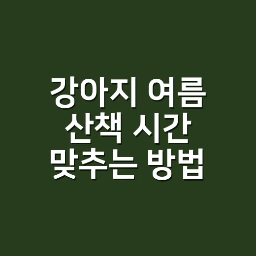 강아지 여름 산책 시간 맞추는 방법, 더위 먹기 전에 이렇게 조절하세요 - 요약