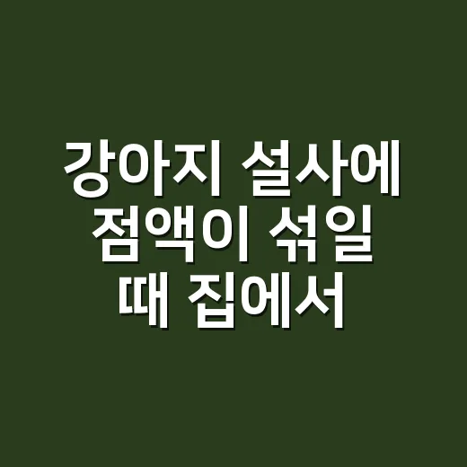 강아지 설사에 점액이 섞일 때 집에서 확인하는 방법 - 요약