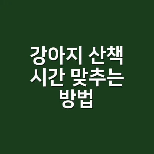 강아지 산책 시간 맞추는 방법, 나이와 성격에 따라 이렇게 잡으세요 - 요약