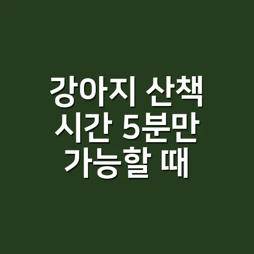 강아지 산책 시간 5분만 가능할 때 이렇게 채우는 방법 - 요약