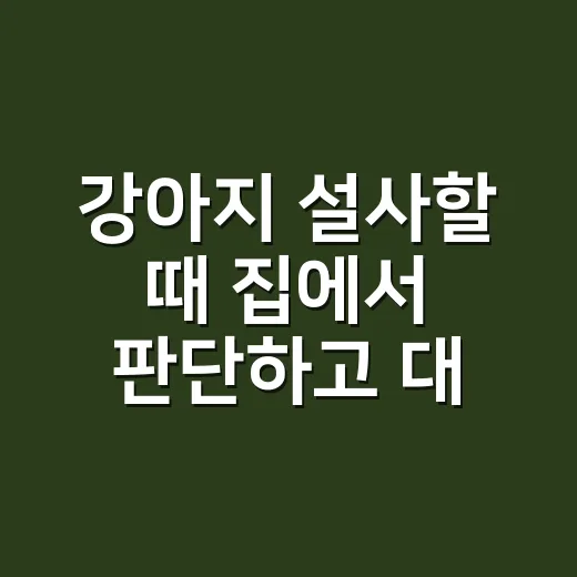강아지 설사할 때 집에서 판단하고 대처하는 방법 - 요약