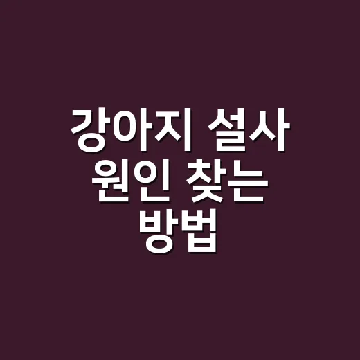 강아지 설사 원인 찾는 방법, 집에서 볼 것과 병원 갈 때 - 요약