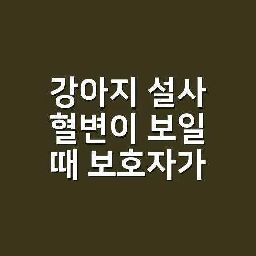 강아지 설사 혈변이 보일 때 보호자가 먼저 해야 할 방법 - 요약