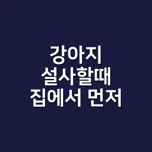 강아지 설사할때 집에서 먼저 확인하는 방법과 병원 가야 하는 신호 - 요약