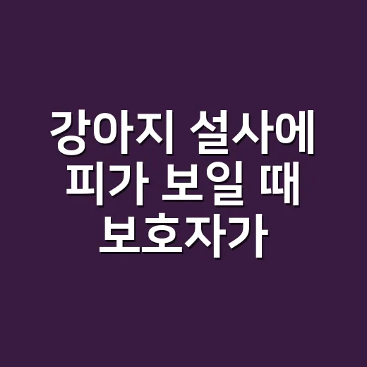 강아지 설사에 피가 보일 때 보호자가 먼저 해야 할 방법 - 요약