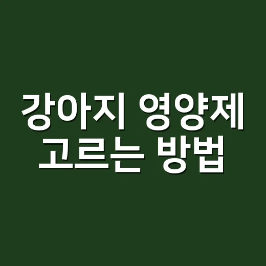 강아지 영양제 고르는 방법, 사기 전에 꼭 보는 5가지 기준 - 요약