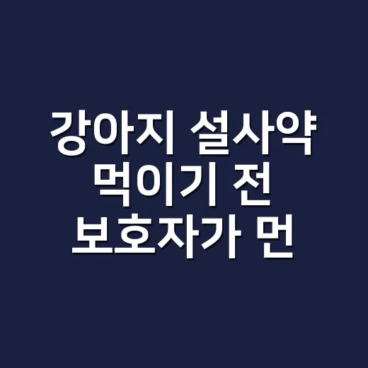 강아지 설사약 먹이기 전 보호자가 먼저 확인하는 방법 - 요약