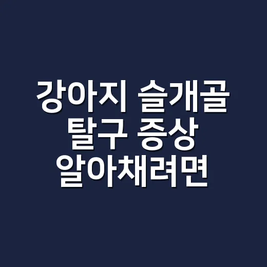 강아지 슬개골 탈구 증상 알아채려면 이렇게 보세요 - 요약