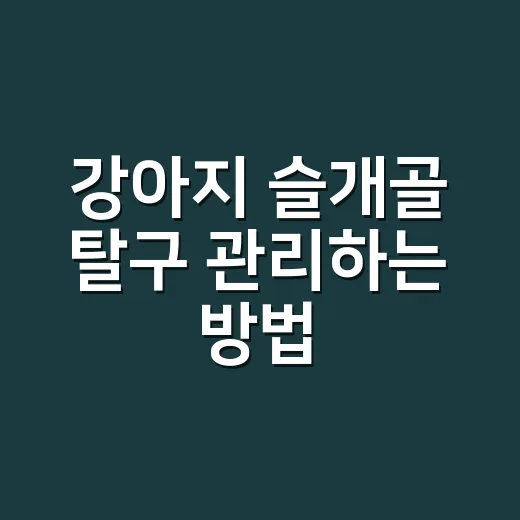 강아지 슬개골 탈구 관리하는 방법, 집에서 먼저 바꿀 것들 - 요약