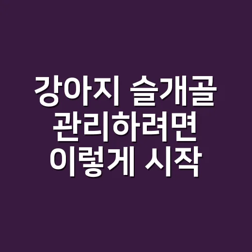 강아지 슬개골 관리하려면 이렇게 시작하세요 - 요약