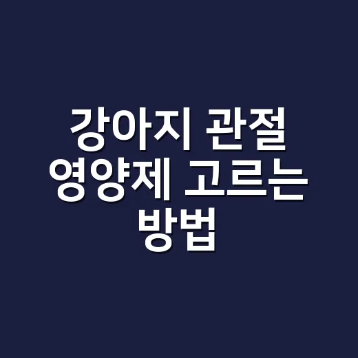 강아지 관절 영양제 고르는 방법, 나이보다 걸음걸이부터 보세요 - 요약