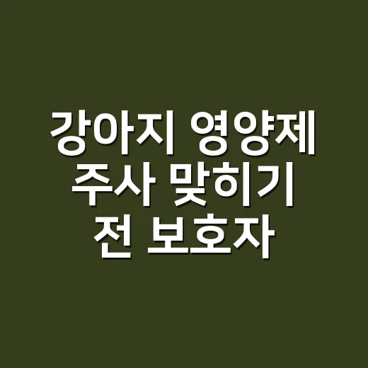 강아지 영양제 주사 맞히기 전 보호자가 확인하는 방법 - 요약