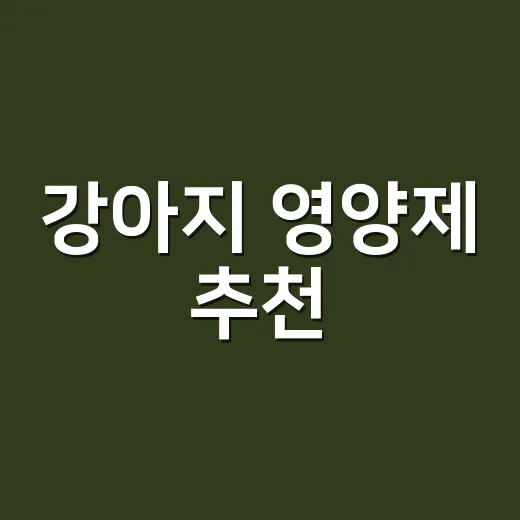 강아지 영양제 추천, 초보 보호자가 고를 때 이렇게 보세요 - 요약
