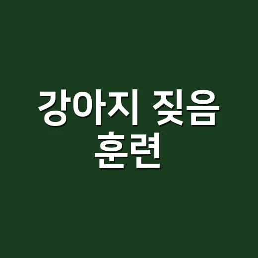 강아지 짖음 훈련, 소리 지르지 않고 줄이는 방법 - 요약