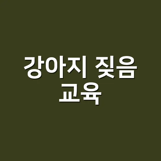 강아지 짖음 교육, 혼내기 전에 집에서 먼저 바꿔야 할 것들 - 요약