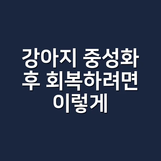 강아지 중성화 후 회복하려면 이렇게 관리하세요 - 요약