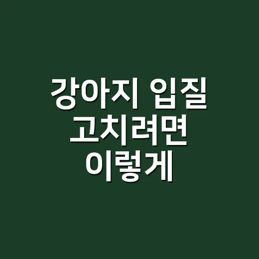 강아지 입질 고치려면 이렇게 시작하세요: 혼내기 전에 봐야 할 5가지 - 요약
