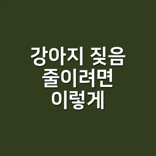 강아지 짖음 줄이려면 이렇게 시작하세요 - 요약