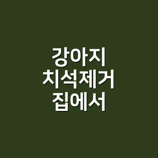 강아지 치석제거 집에서 시작하려면 이렇게 관리하세요 - 요약