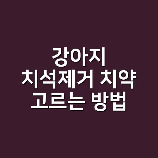강아지 치석제거 치약 고르는 방법, 냄새보다 잇몸부터 보세요 - 요약