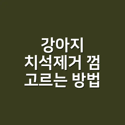 강아지 치석제거 껌 고르는 방법, 오래 씹는 것보다 중요한 기준 - 요약