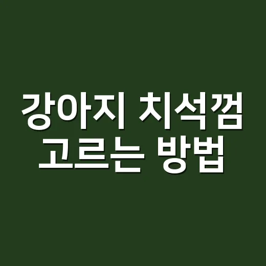 강아지 치석껌 고르는 방법, 씹는 시간부터 성분표까지 이렇게 보세요 - 요약
