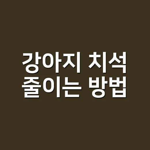 강아지 치석 줄이는 방법, 양치 싫어하는 아이도 이렇게 시작합니다 - 요약