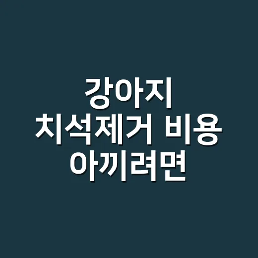 강아지 치석제거 비용 아끼려면 견적서 이렇게 보세요 - 요약